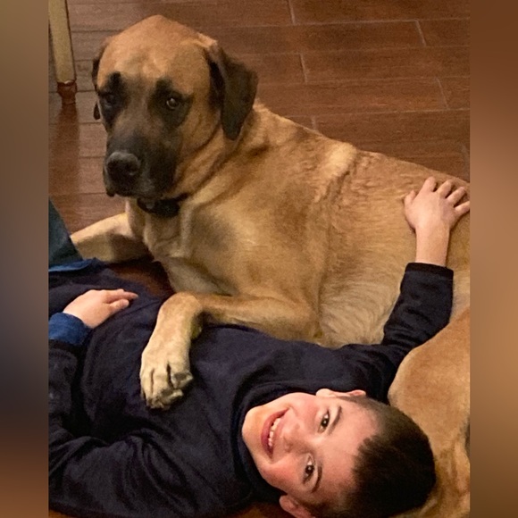 Meet your Posher, Barbara - Picture 3 of 3